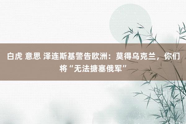 白虎 意思 泽连斯基警告欧洲：莫得乌克兰，你们将“无法搪塞俄军”