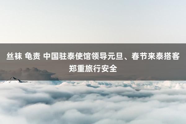丝袜 龟责 中国驻泰使馆领导元旦、春节来泰搭客郑重旅行安全