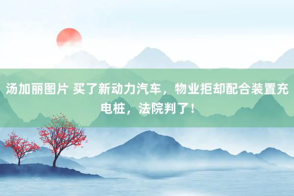 汤加丽图片 买了新动力汽车，物业拒却配合装置充电桩，法院判了！