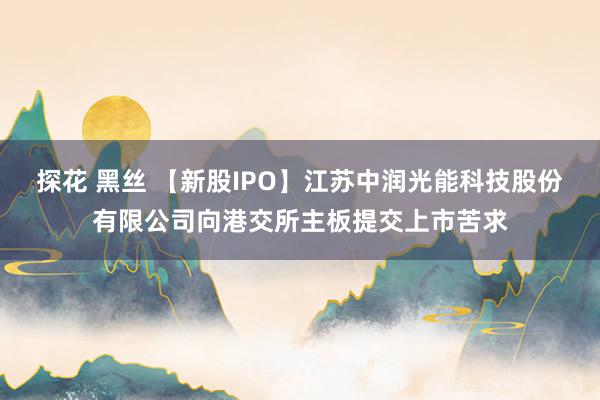 探花 黑丝 【新股IPO】江苏中润光能科技股份有限公司向港交所主板提交上市苦求