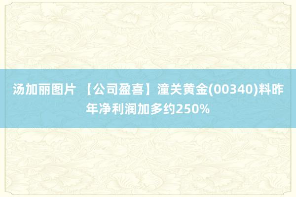 汤加丽图片 【公司盈喜】潼关黄金(00340)料昨年净利润加多约250%