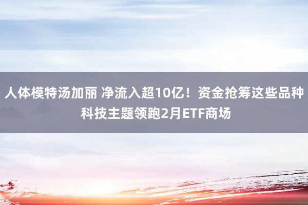 人体模特汤加丽 净流入超10亿！资金抢筹这些品种 科技主题领跑2月ETF商场