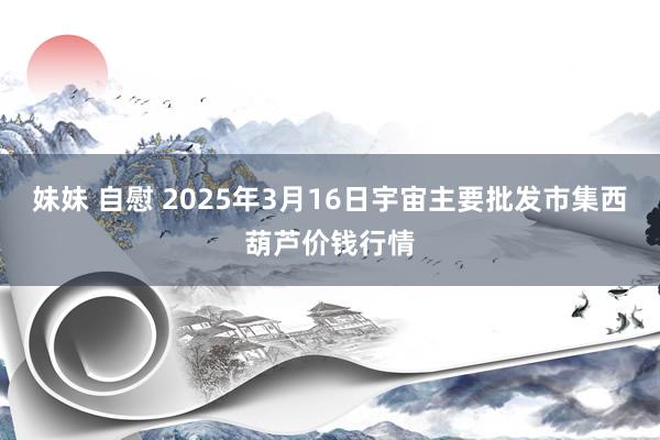妹妹 自慰 2025年3月16日宇宙主要批发市集西葫芦价钱行情