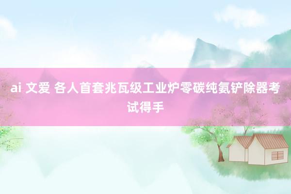 ai 文爱 各人首套兆瓦级工业炉零碳纯氨铲除器考试得手