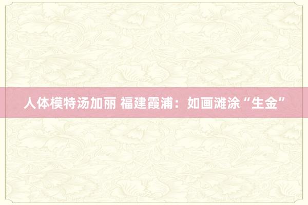 人体模特汤加丽 福建霞浦：如画滩涂“生金”