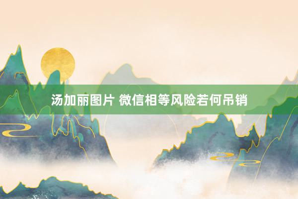 汤加丽图片 微信相等风险若何吊销