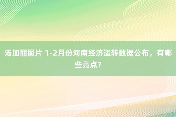 汤加丽图片 1-2月份河南经济运转数据公布，有哪些亮点？