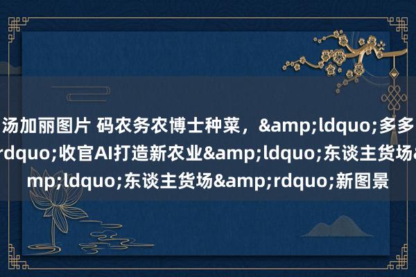 汤加丽图片 码农务农博士种菜，&ldquo;多多农研科技大赛&rdquo;收官AI打造新农业&ldquo;东谈主货场&rdquo;新图景