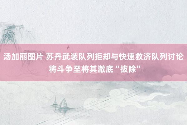 汤加丽图片 苏丹武装队列拒却与快速救济队列讨论 将斗争至将其澈底“拔除”