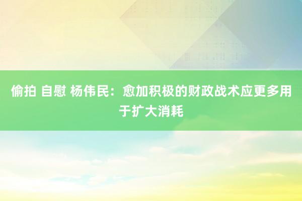 偷拍 自慰 杨伟民：愈加积极的财政战术应更多用于扩大消耗