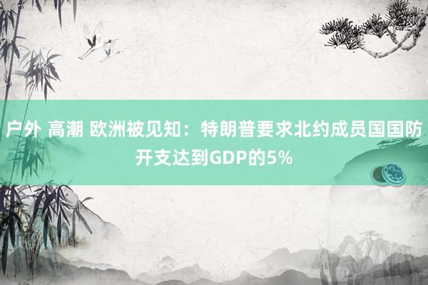 户外 高潮 欧洲被见知：特朗普要求北约成员国国防开支达到GDP的5%