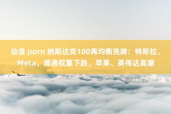 动漫 porn 纳斯达克100再均衡洗牌：特斯拉、Meta、博通权重下跌、苹果、英伟达高潮