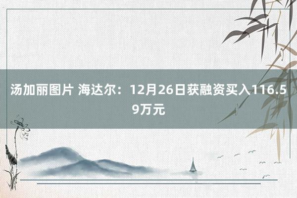 汤加丽图片 海达尔：12月26日获融资买入116.59万元