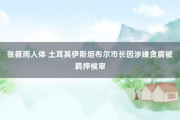 张筱雨人体 土耳其伊斯坦布尔市长因涉嫌贪腐被羁押候审