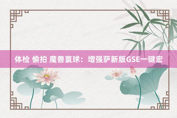 体检 偷拍 魔兽寰球：增强萨新版GSE一键宏