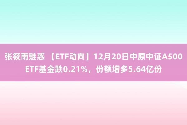 张筱雨魅惑 【ETF动向】12月20日中原中证A500ETF基金跌0.21%，份额增多5.64亿份