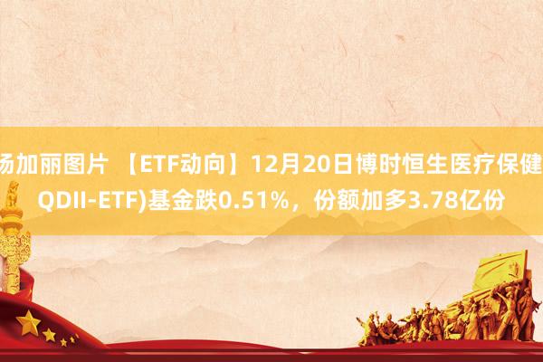 汤加丽图片 【ETF动向】12月20日博时恒生医疗保健(QDII-ETF)基金跌0.51%，份额加多3.78亿份