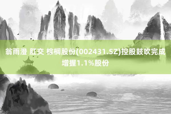翁雨澄 肛交 棕榈股份(002431.SZ)控股鼓吹完成增握1.1%股份