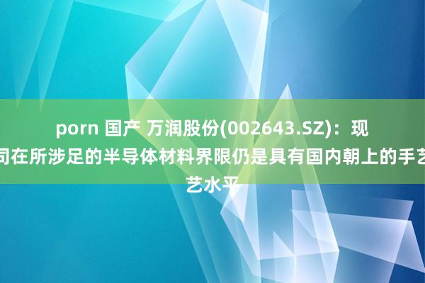 porn 国产 万润股份(002643.SZ)：现在公司在所涉足的半导体材料界限仍是具有国内朝上的手艺水平