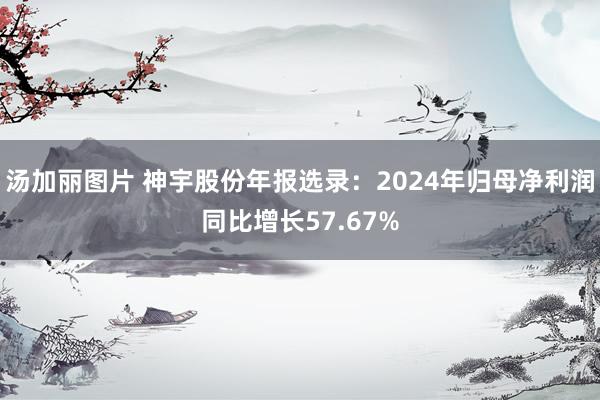 汤加丽图片 神宇股份年报选录：2024年归母净利润同比增长57.67%