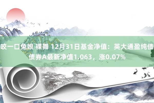 咬一口兔娘 裸舞 12月31日基金净值：英大通盈纯债债券A最新净值1.063，涨0.07%