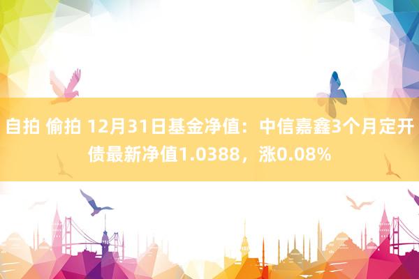 自拍 偷拍 12月31日基金净值：中信嘉鑫3个月定开债最新净值1.0388，涨0.08%
