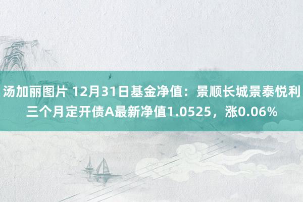 汤加丽图片 12月31日基金净值：景顺长城景泰悦利三个月定开债A最新净值1.0525，涨0.06%