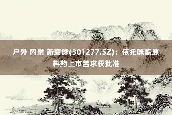 户外 内射 新寰球(301277.SZ)：依托咪酯原料药上市苦求获批准