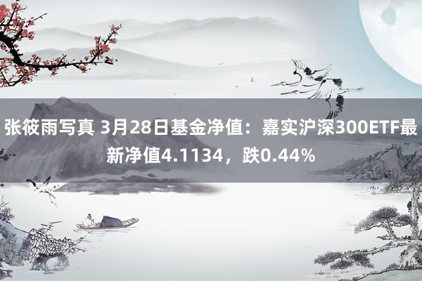 张筱雨写真 3月28日基金净值：嘉实沪深300ETF最新净值4.1134，跌0.44%