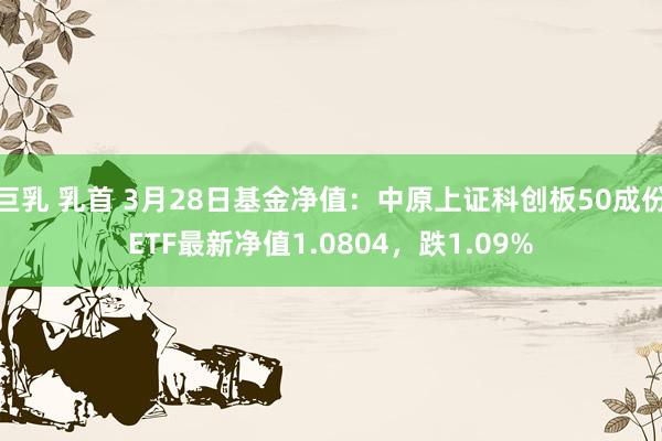 巨乳 乳首 3月28日基金净值：中原上证科创板50成份ETF最新净值1.0804，跌1.09%