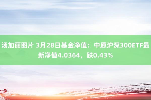 汤加丽图片 3月28日基金净值：中原沪深300ETF最新净值4.0364，跌0.43%