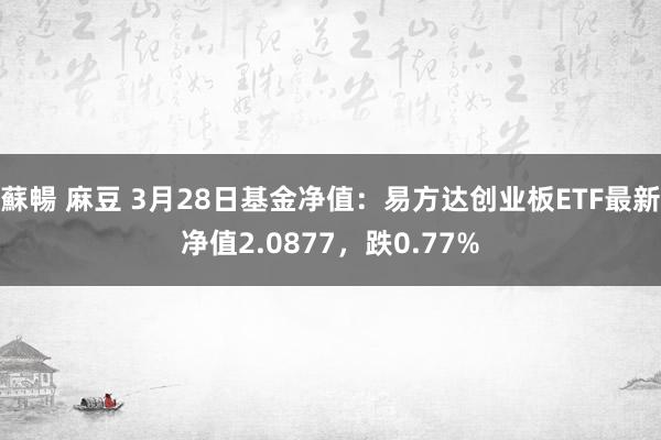 蘇暢 麻豆 3月28日基金净值：易方达创业板ETF最新净值2.0877，跌0.77%