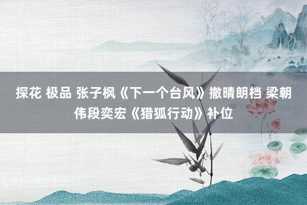 探花 极品 张子枫《下一个台风》撤晴朗档 梁朝伟段奕宏《猎狐行动》补位