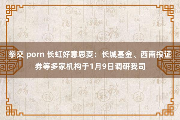 拳交 porn 长虹好意思菱：长城基金、西南投证券等多家机构于1月9日调研我司