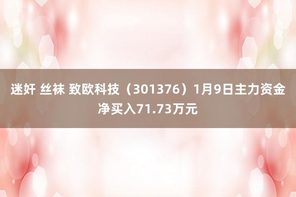 迷奸 丝袜 致欧科技（301376）1月9日主力资金净买入71.73万元