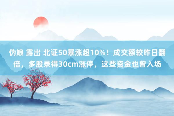 伪娘 露出 北证50暴涨超10%！成交额较昨日翻倍，多股录得30cm涨停，这些资金也曾入场