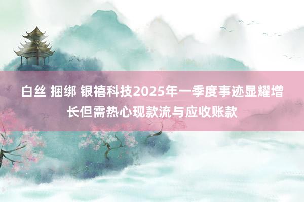 白丝 捆绑 银禧科技2025年一季度事迹显耀增长但需热心现款流与应收账款