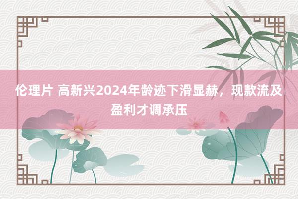 伦理片 高新兴2024年龄迹下滑显赫，现款流及盈利才调承压