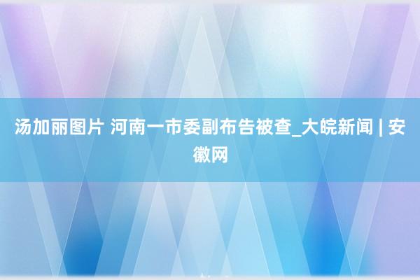汤加丽图片 河南一市委副布告被查_大皖新闻 | 安徽网