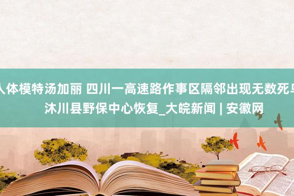 人体模特汤加丽 四川一高速路作事区隔邻出现无数死鸟    沐川县野保中心恢复_大皖新闻 | 安徽网