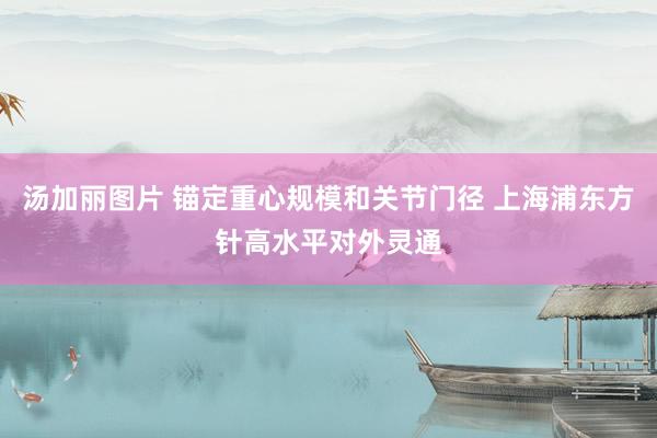 汤加丽图片 锚定重心规模和关节门径 上海浦东方针高水平对外灵通