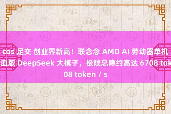 cos 足交 创业界新高！联念念 AMD AI 劳动器单机部署满血版 DeepSeek 大模子，极限总隐约高达 6708 token / s