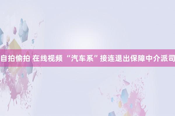 自拍偷拍 在线视频 “汽车系”接连退出保障中介派司