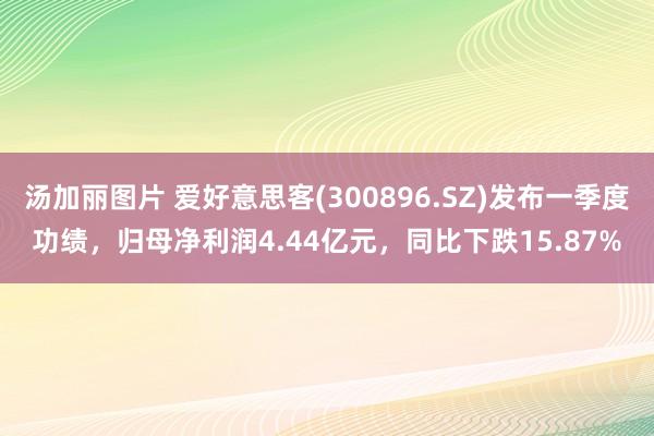 汤加丽图片 爱好意思客(300896.SZ)发布一季度功绩，归母净利润4.44亿元，同比下跌15.87%