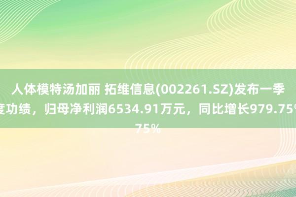 人体模特汤加丽 拓维信息(002261.SZ)发布一季度功绩，归母净利润6534.91万元，同比增长979.75%